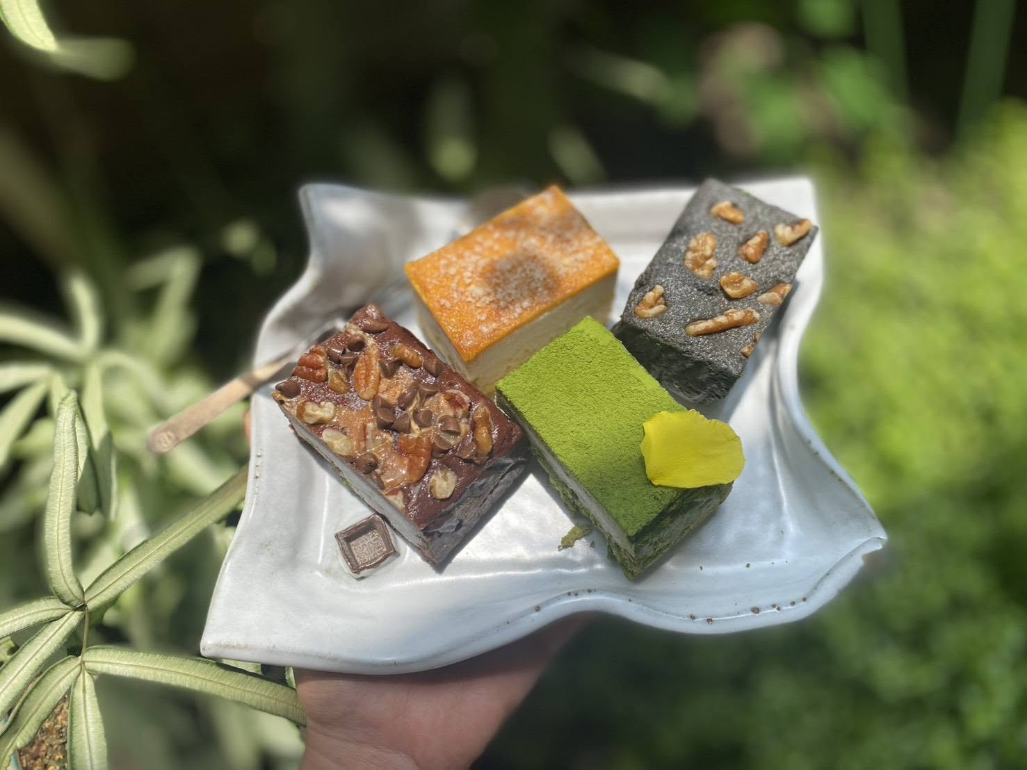 盤裝天然四色純素繽紛布朗尼